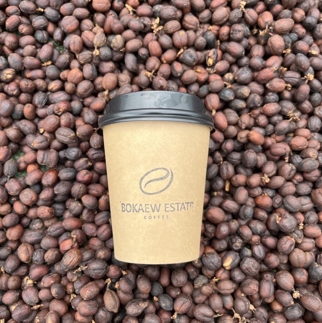 Thailand Bokaew Estate | Cherries Raisin & Syrup