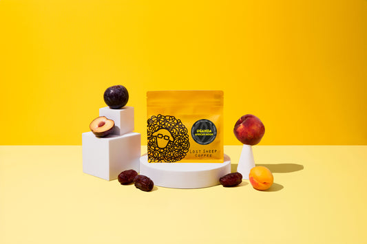 Lost Sheep Coffee's Uganda African Moon in yellow packaging surrounded by stone fruits