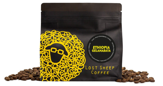 Ethiopia Gelanabaya Lost Sheep Coffee in packaging