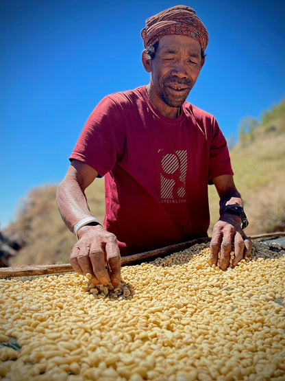 Man selecting coffee beans