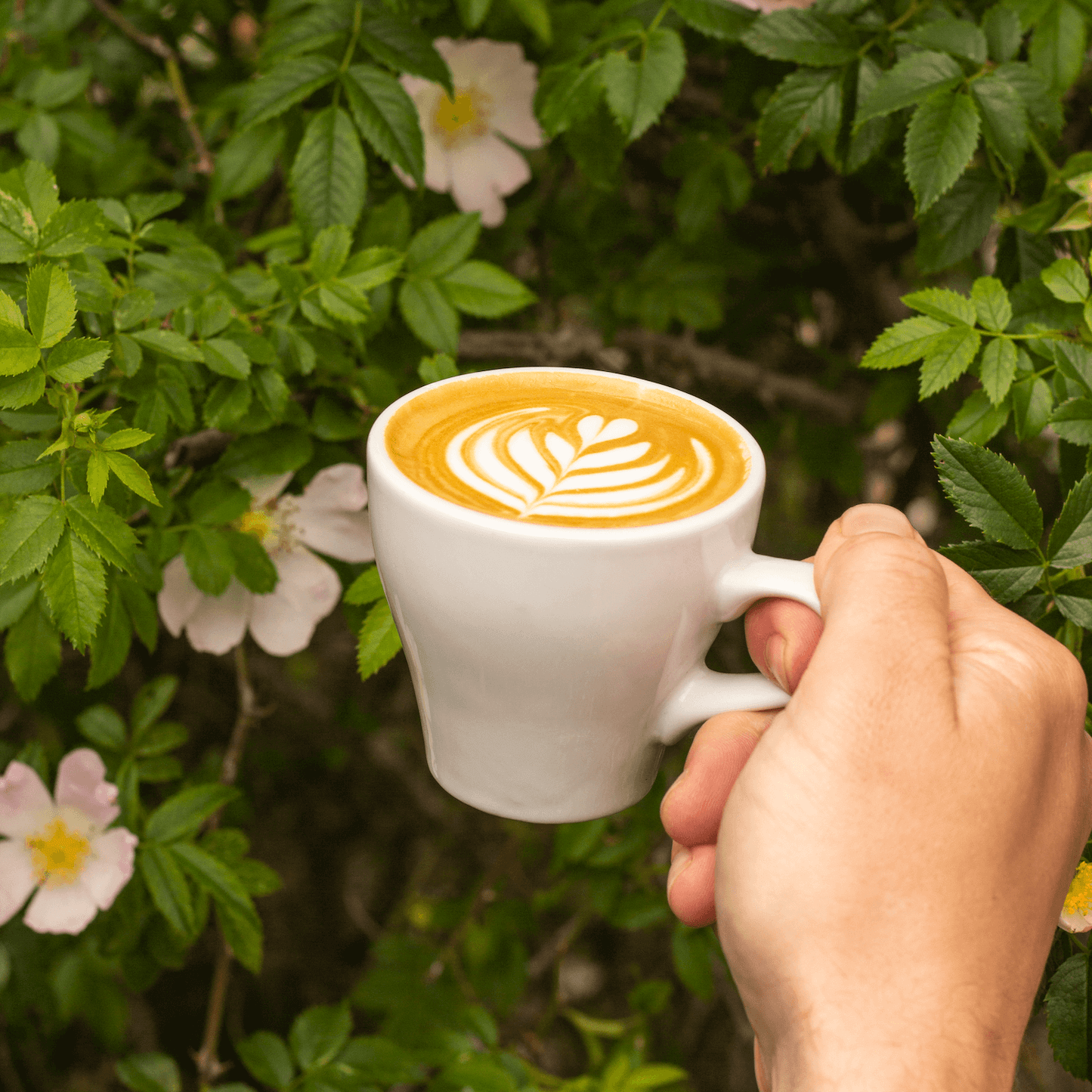 A flat white coffee made with Lost Sheep coffee