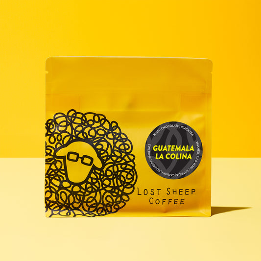 Guatemala La Colina | Plum, Chocolate, Black Tea