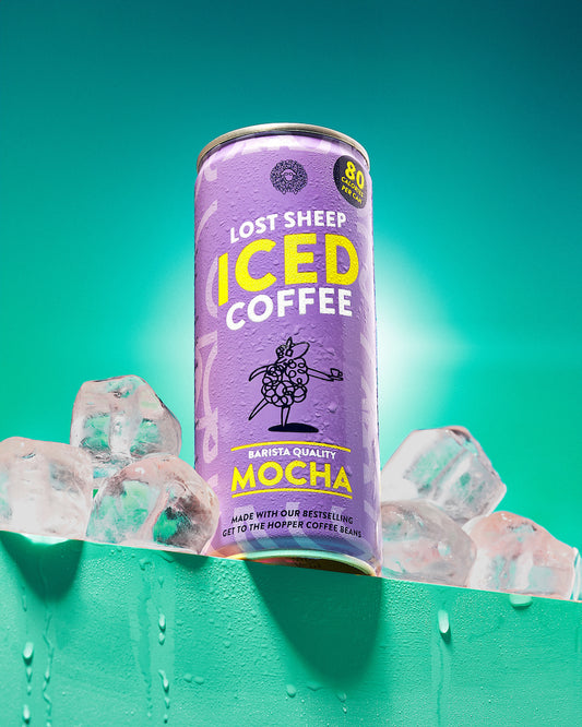 lost sheep iced coffee mocha