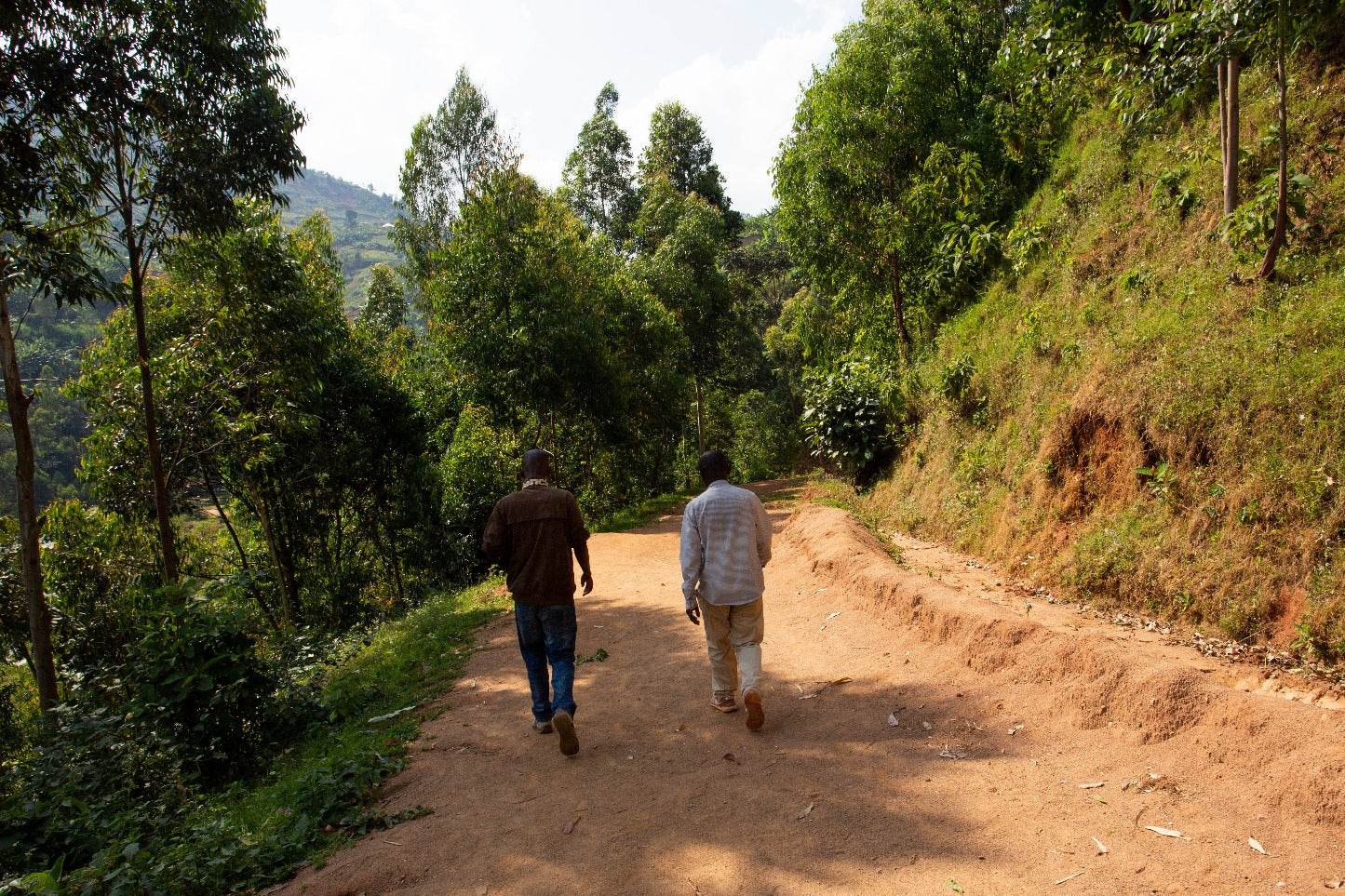 2 people walking on a road in coffee farm
