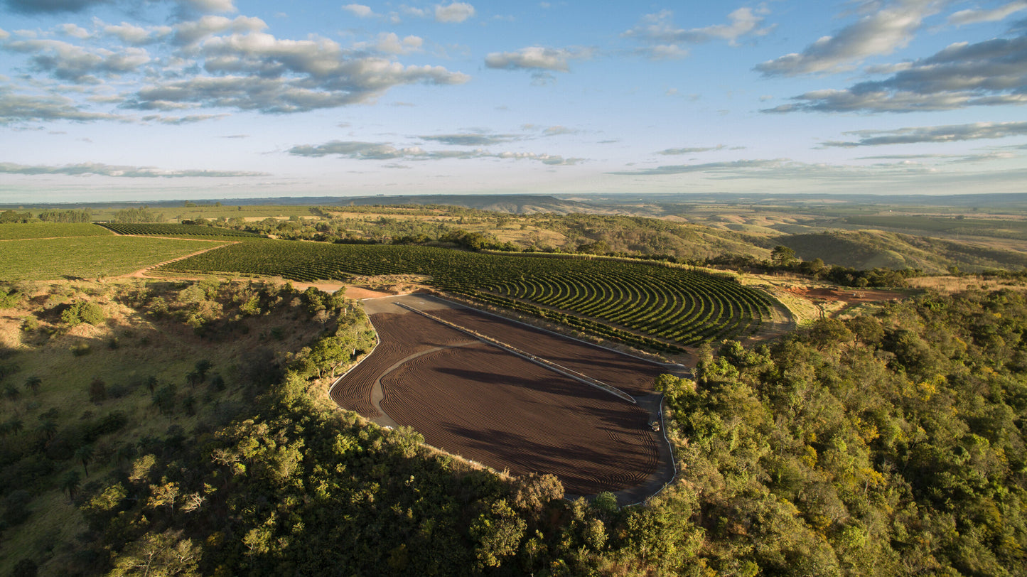 Brazilian coffee farm that supplies Lost Sheep Coffee