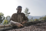 Burundi Masenga Hill | Clean, Jammy, Rhubarb